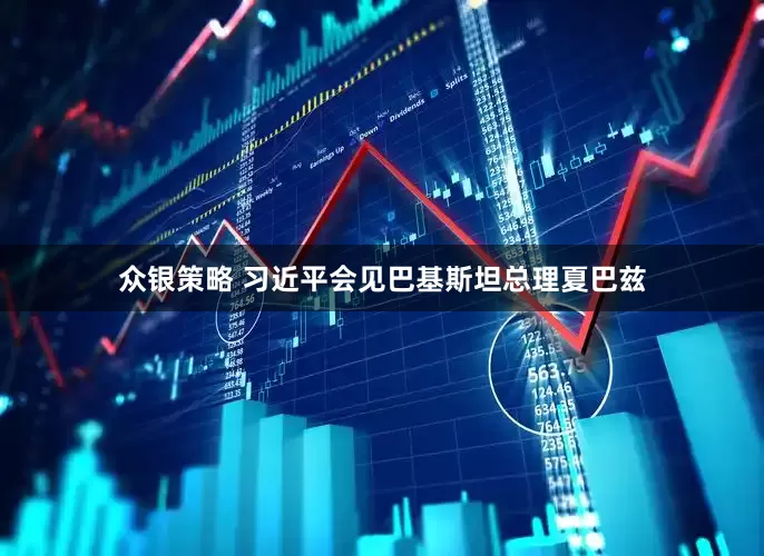 众银策略 习近平会见巴基斯坦总理夏巴兹