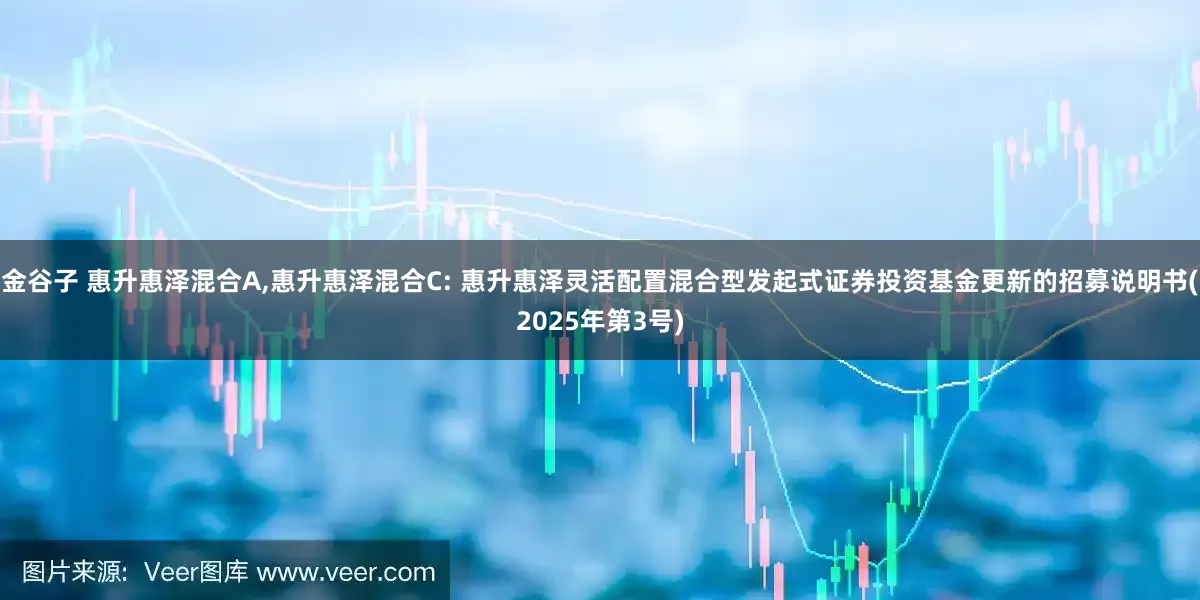 金谷子 惠升惠泽混合A,惠升惠泽混合C: 惠升惠泽灵活配置混合型发起式证券投资基金更新的招募说明书(2025年第3号)