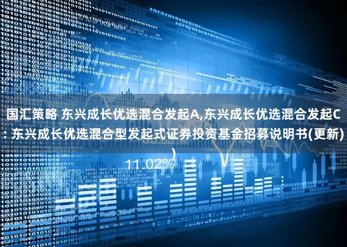 国汇策略 东兴成长优选混合发起A,东兴成长优选混合发起C: 东兴成长优选混合型发起式证券投资基金招募说明书(更新)